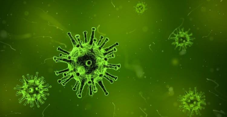virus