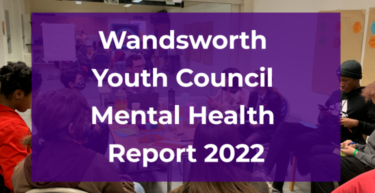 youth council report