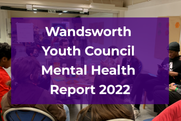 youth council report